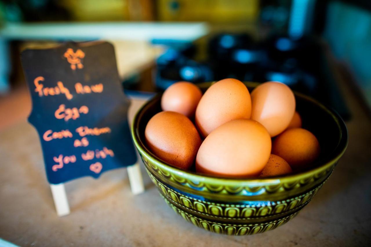 Quinta Alma - Ecological Retreat Farm Hotel Aljezur Eksteriør billede